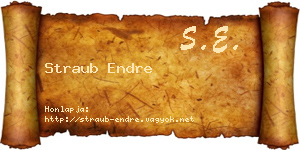 Straub Endre névjegykártya